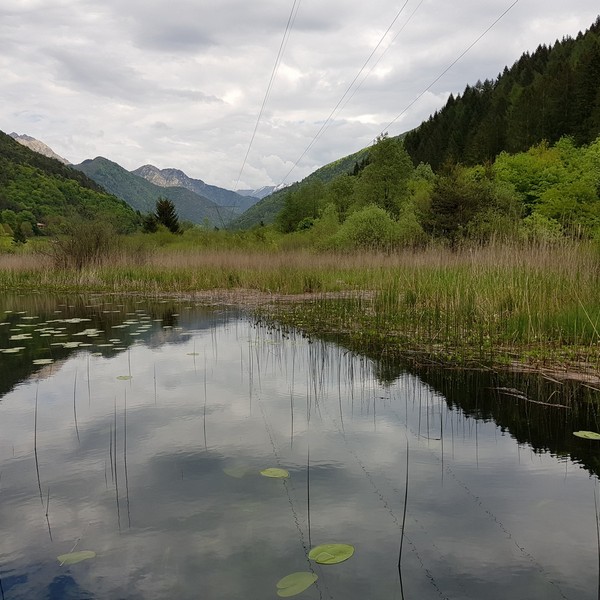 Camping al Lago - Ledro Valley and surroundings